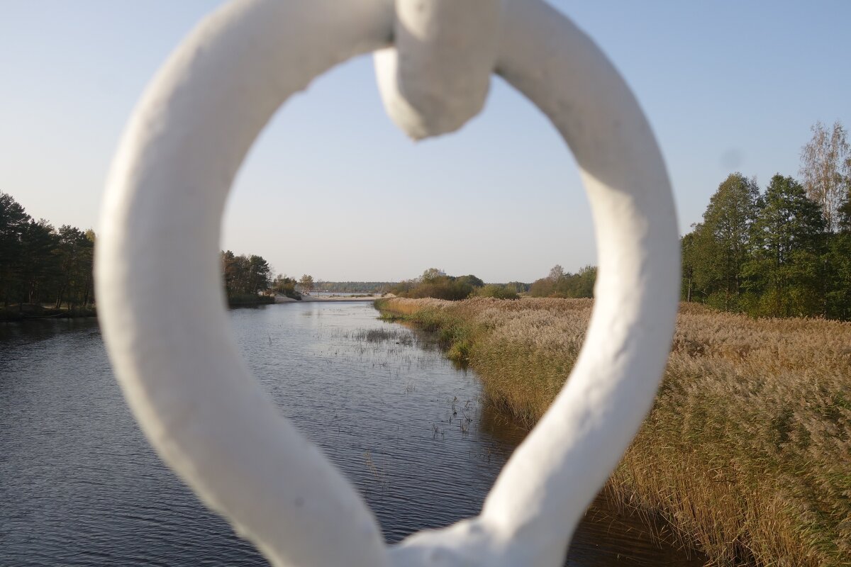 в городе Сосновый Бор - Елена в городе Сосновый Бор - Елена