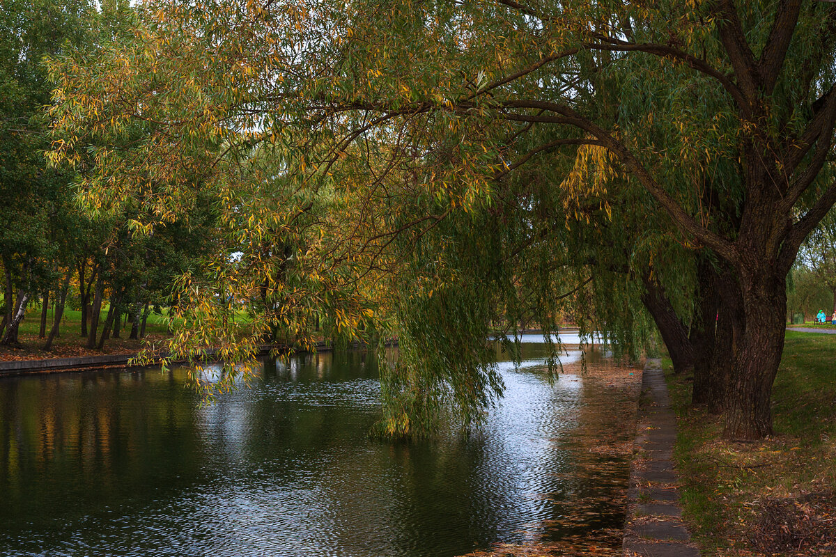 ... - василий 