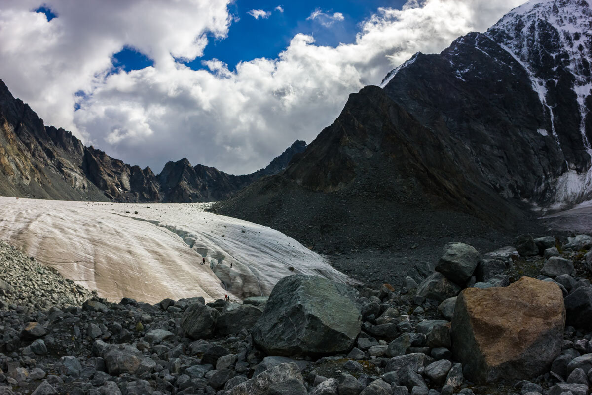 Язык - Алексей 