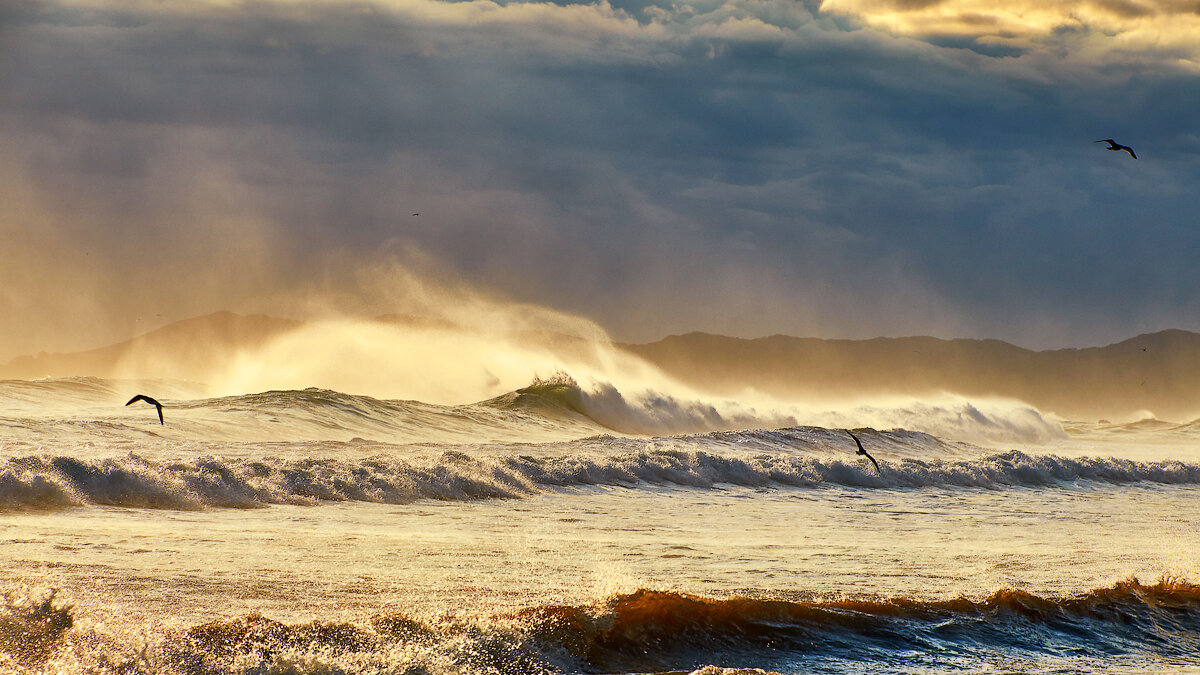 Море. - Валерий Гончаров Море. - Валерий Гончаров
