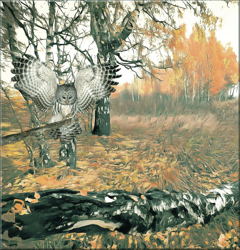 "" - Николай Староверов