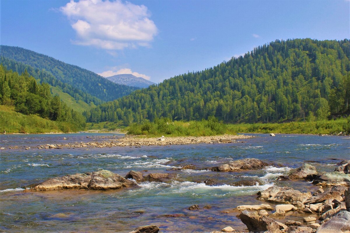 Солнечный денёк - Сергей Чиняев Солнечный денёк - Сергей Чиняев