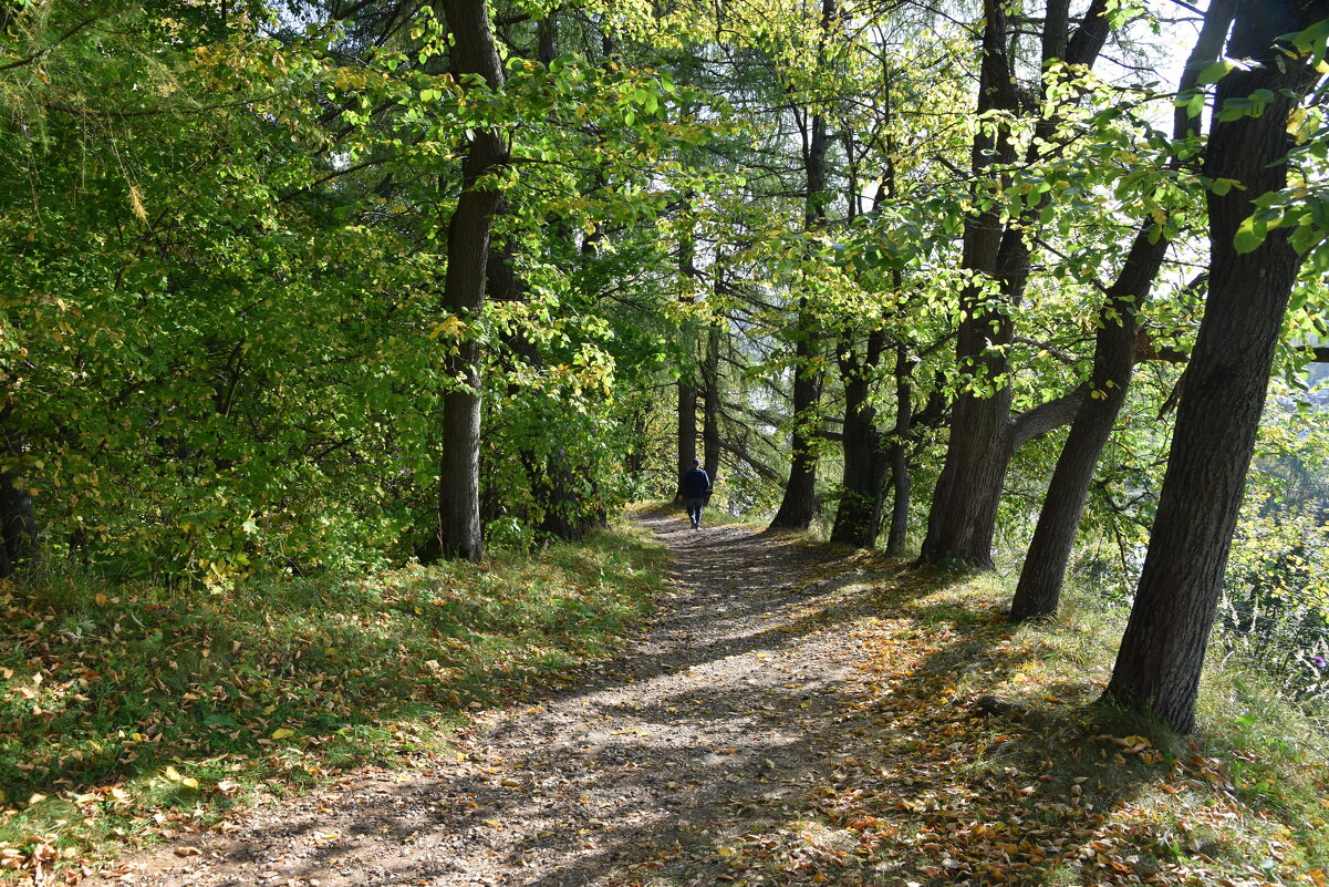 Прогулка в осень. - tatiana Прогулка в осень. - tatiana