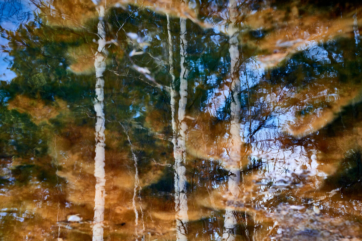 Осенняя акварель - Олег Каразанов Осенняя акварель - Олег Каразанов