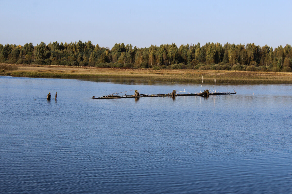 Природа — это единственная книга с великим содержанием на каждом листе. (Иоганн Вольфганг Гёте) - Надежда Федорова Природа — это единственная книга с великим содержанием на каждом листе. (Иоганн Вольфганг Гёте) - Надежда Федорова