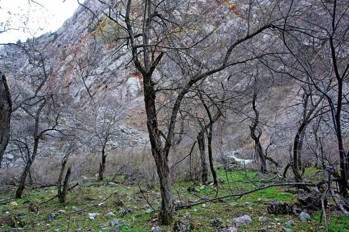 ПУТЕШЕСТВИЕ В СКУЧНУЮ ОСЕНЬ. - Виктор Осипчук ПУТЕШЕСТВИЕ В СКУЧНУЮ ОСЕНЬ. - Виктор Осипчук