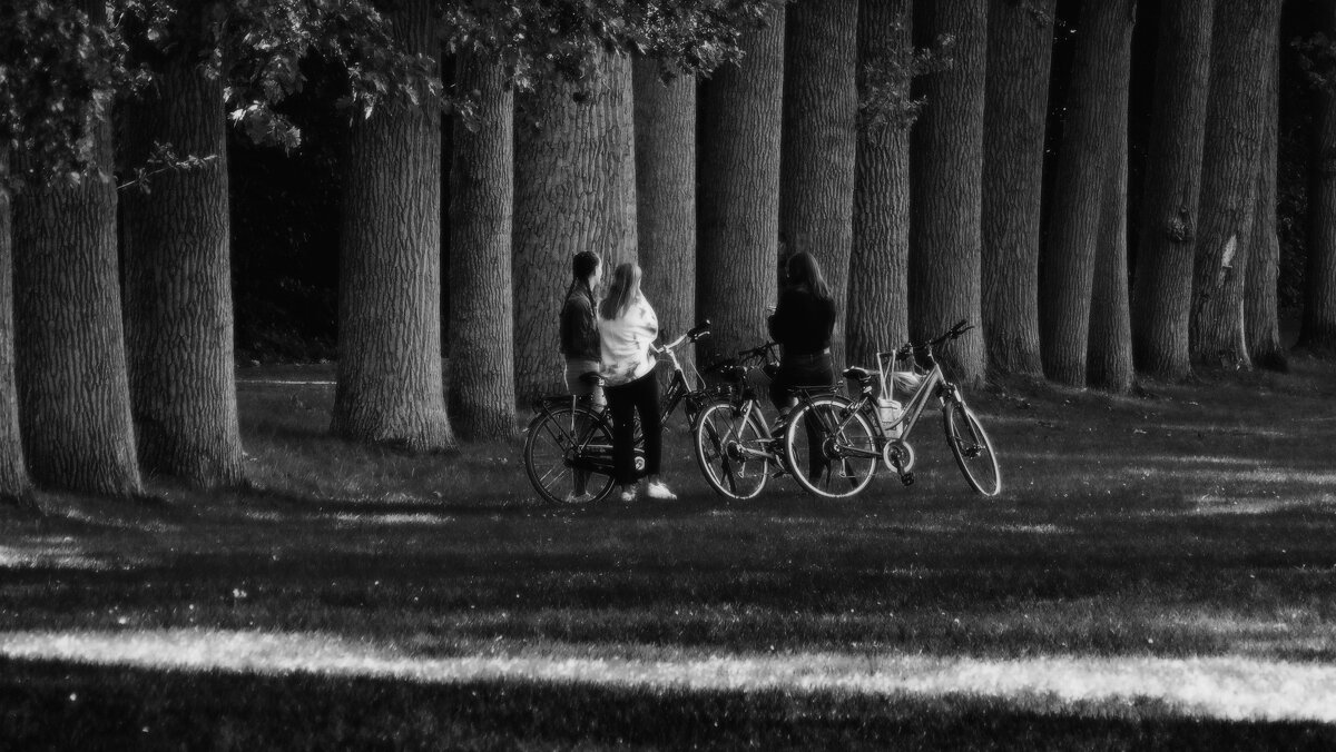 Загодочный лес... - Elena Ророva