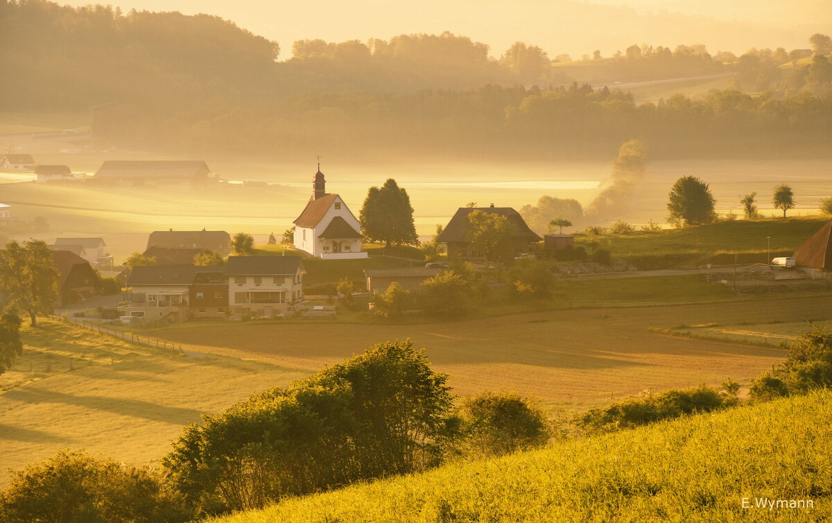 misty morning - Elena Wymann