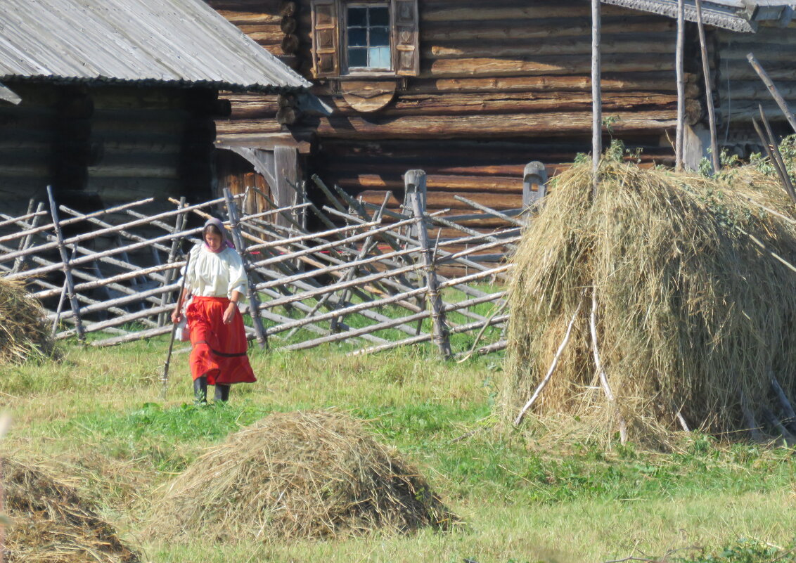 в полном разгаре страда деревенская - ИРЭН@ .