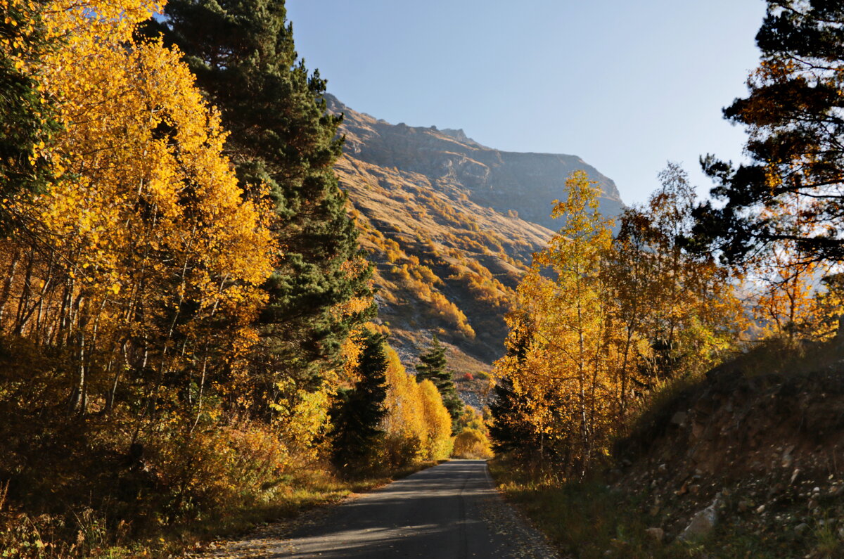 Дороги которые мы выбираем. - Ирина Нафаня Дороги которые мы выбираем. - Ирина Нафаня