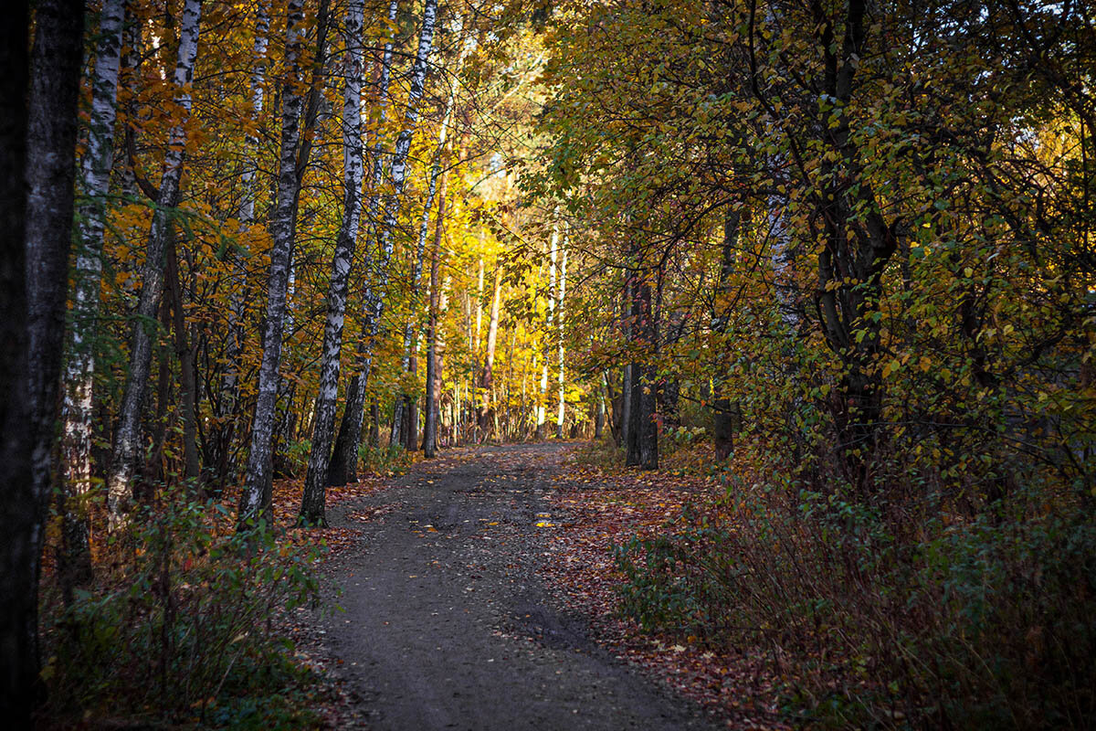 В парке - Александр 