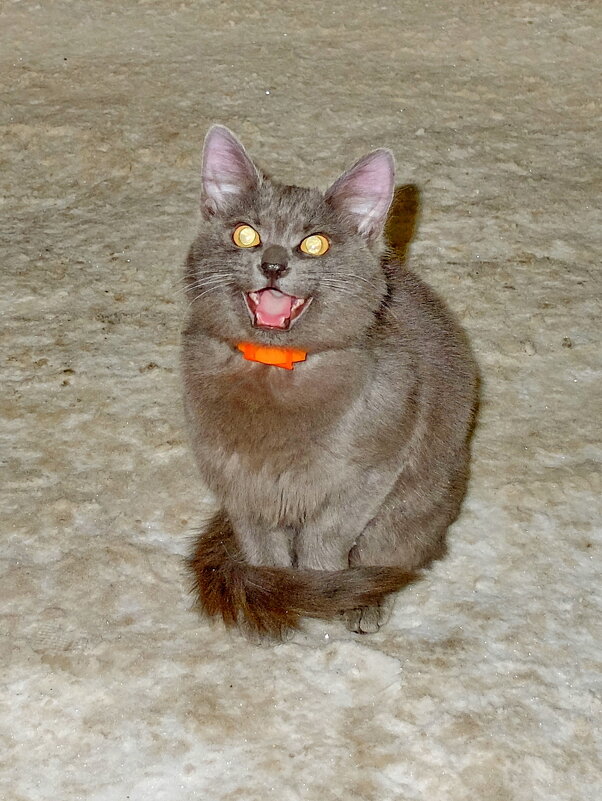 *** - Сергей Дружаев *** - Сергей Дружаев