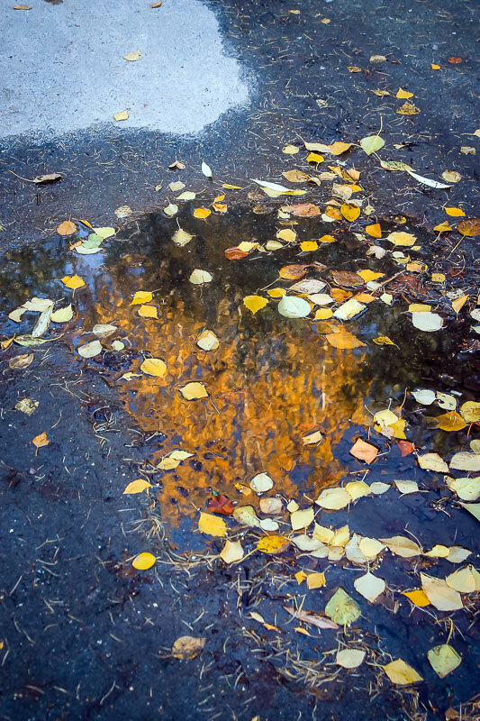"Осень в луже отражается,.. Утонули краски яркие - Стали мокрые и маркие..." - Надежда "Осень в луже отражается,.. Утонули краски яркие - Стали мокрые и маркие..." - Надежда