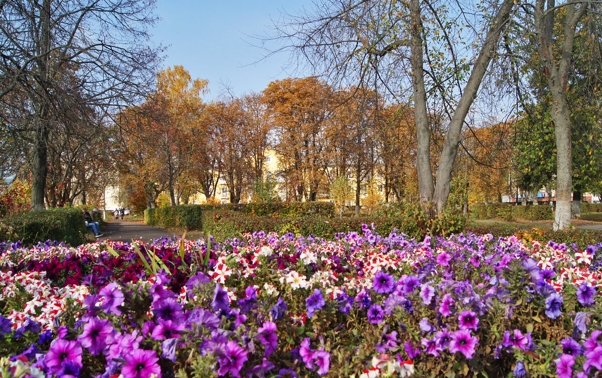 Осень в моём городе - Елена Кирьянова