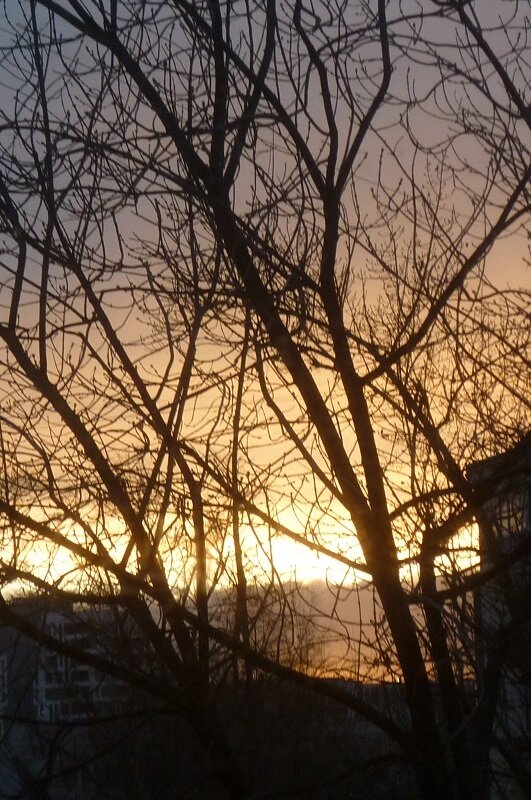 Небо ноября - Татьяна Юрасова Небо ноября - Татьяна Юрасова