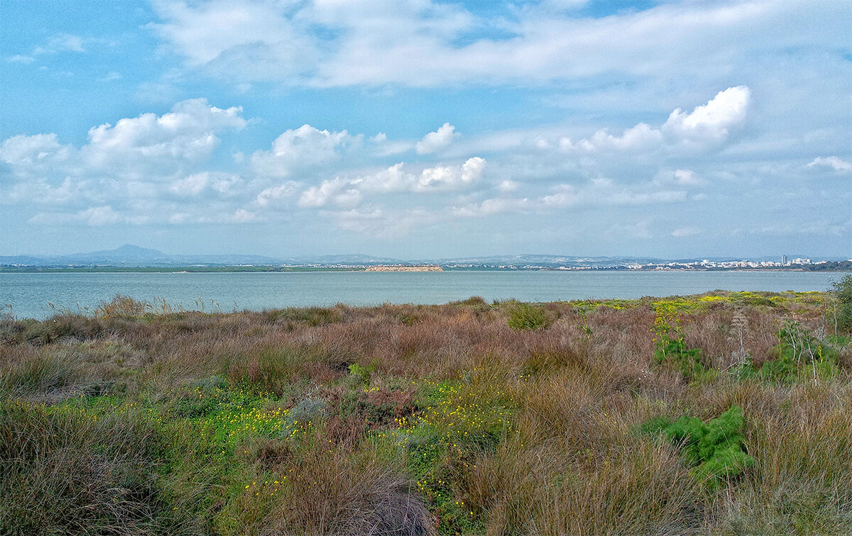 Озеро Алики, Ларнака, Кипр. - Alex Озеро Алики, Ларнака, Кипр. - Alex