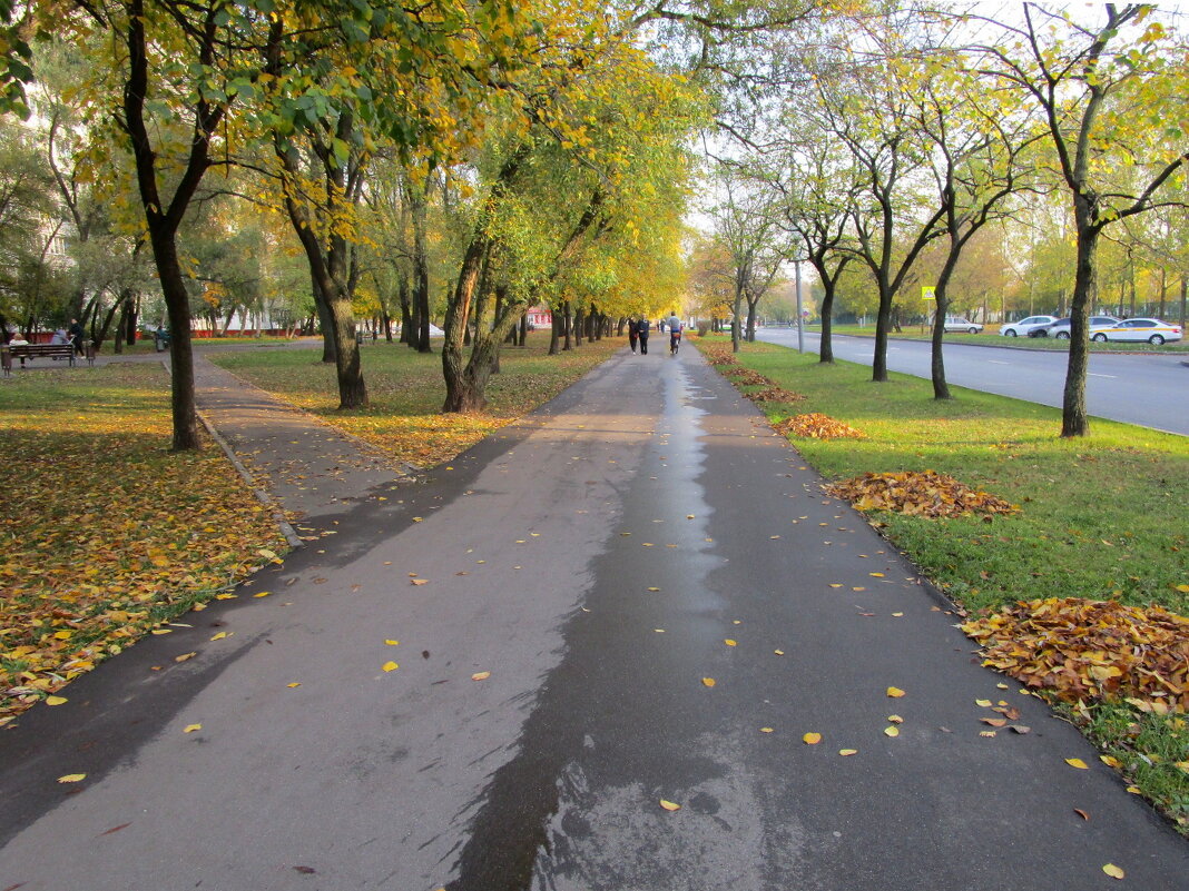 Городской пейзаж - Ольга Довженко