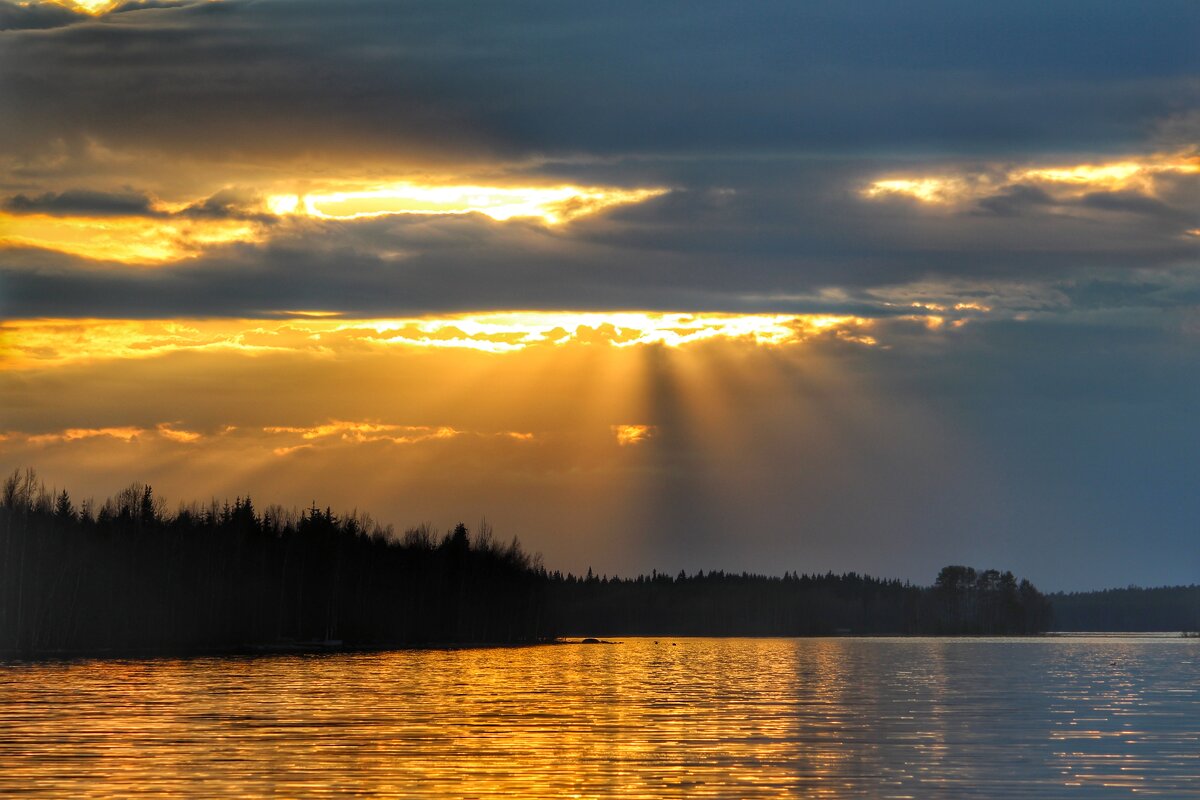 Вечер - Юрий 