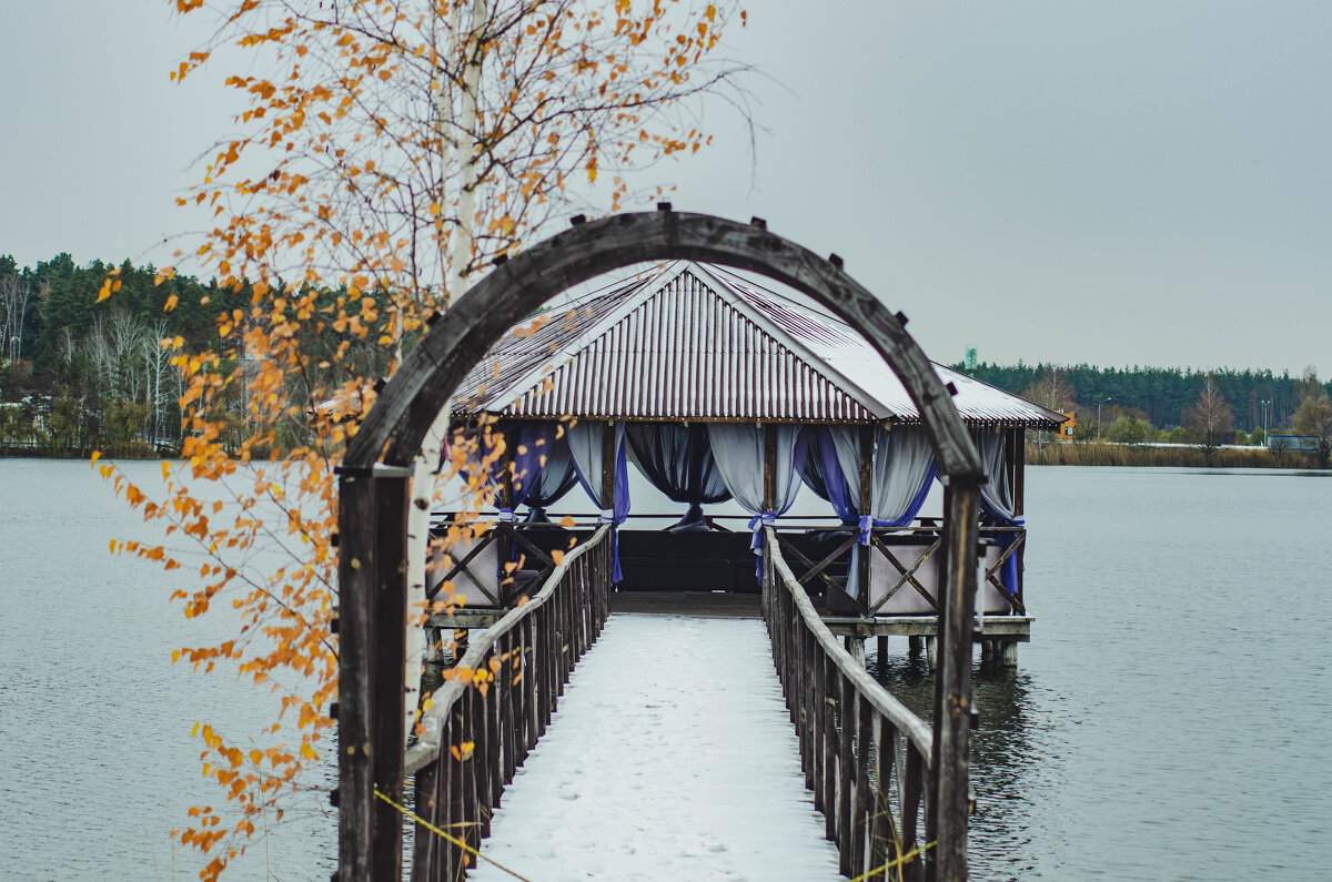 зимние настроение - Александр Леонов