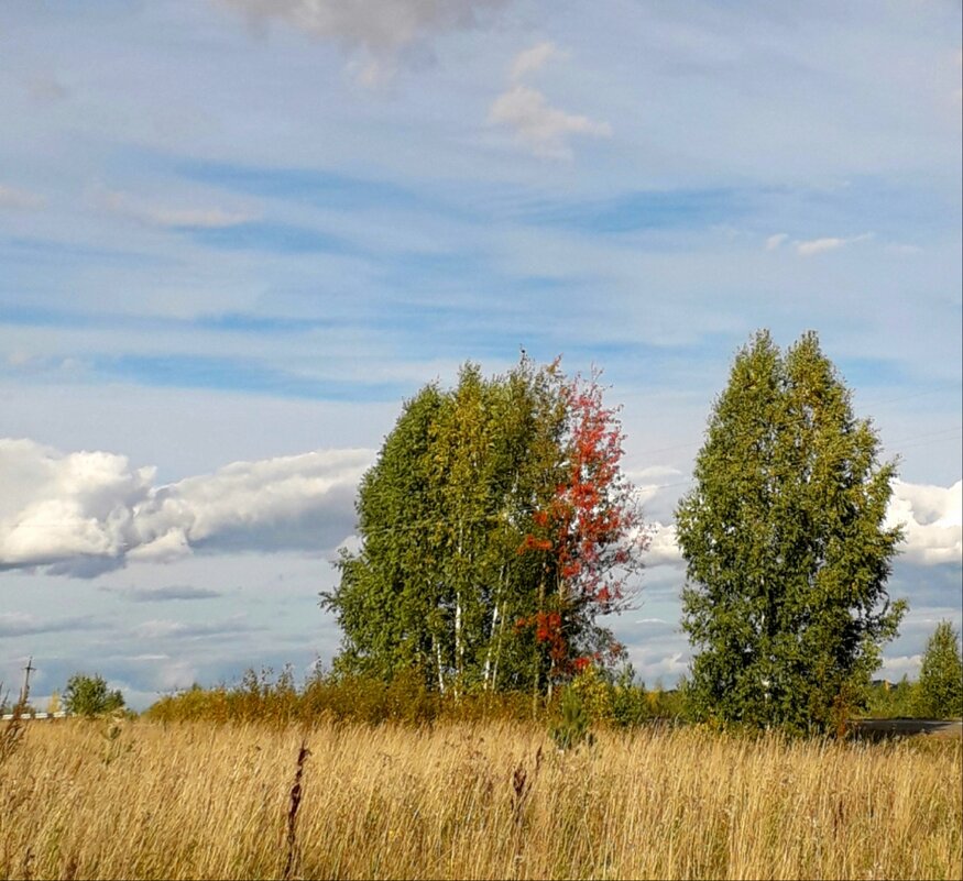 *** - Наталья Короваевич