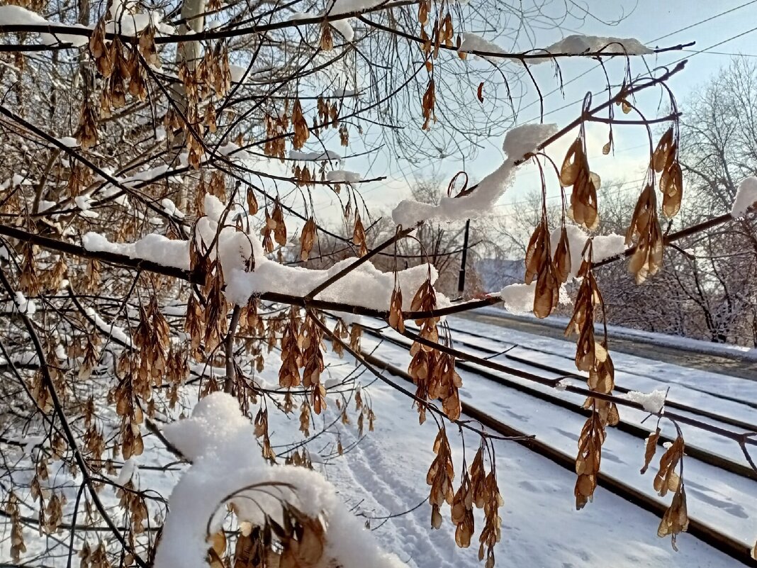 Зимние зарисовки . - Татьяна 