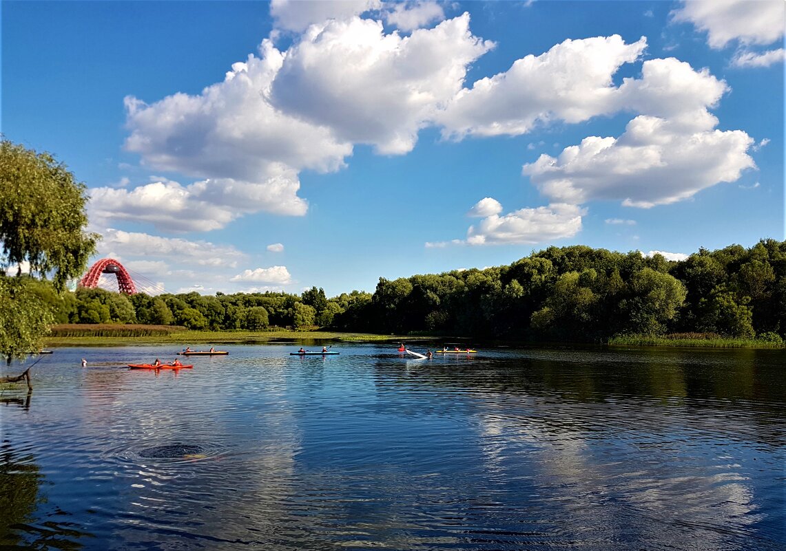 Это было летом, летом... - Ольга Русанова (olg-rusanowa2010) Это было летом, летом... - Ольга Русанова (olg-rusanowa2010)