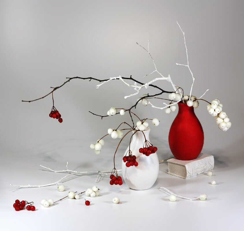 Red and white berries - Olenka 