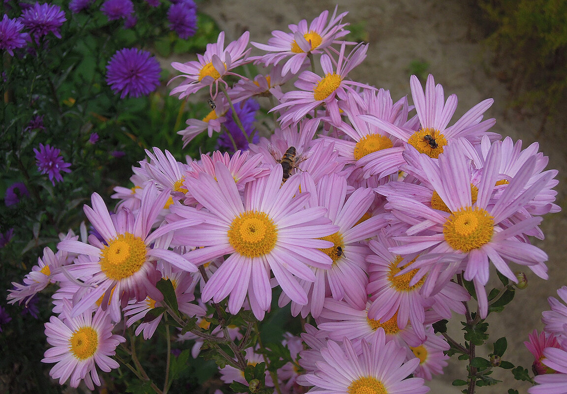 Об уходящей нежности... - Тамара Бедай Об уходящей нежности... - Тамара Бедай