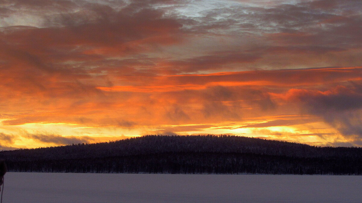 ** - Галина Полина ** - Галина Полина