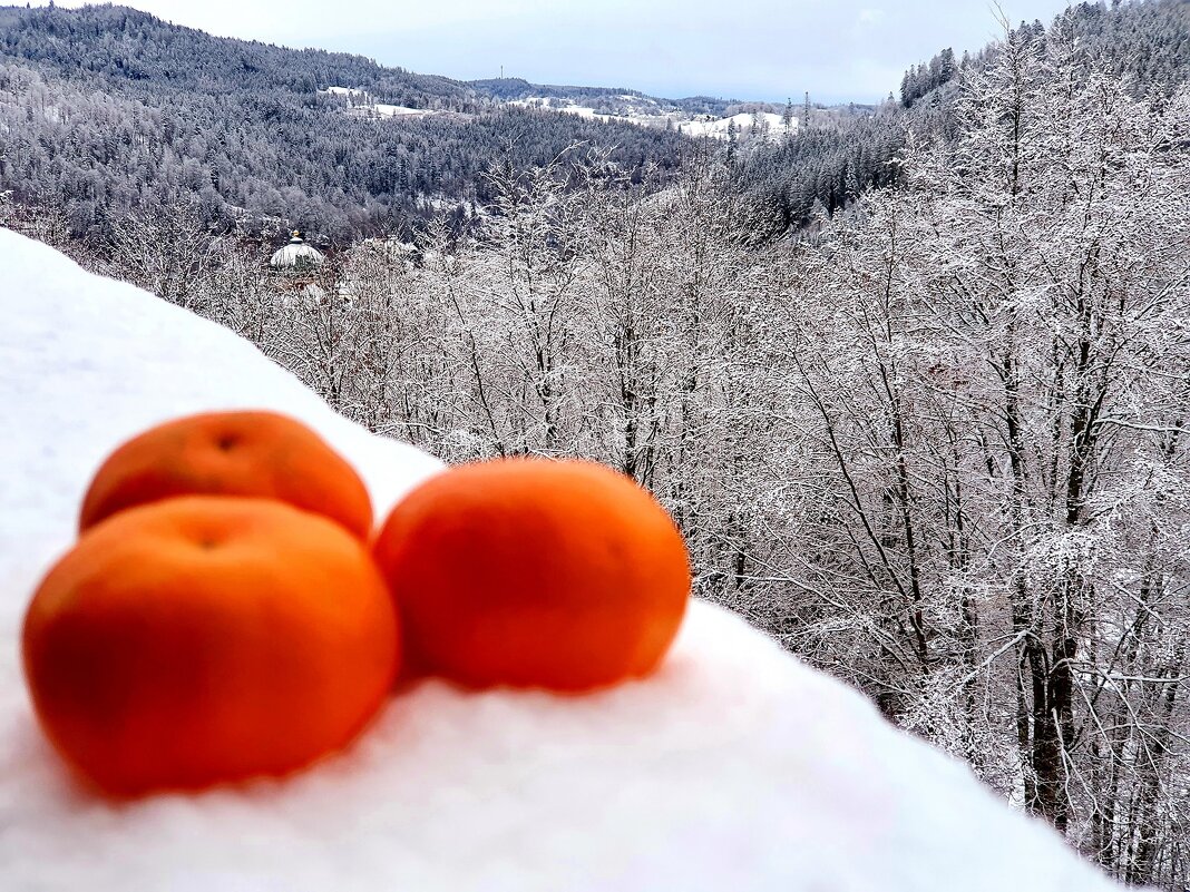 Скоро, скоро Новый год))) - Борис 