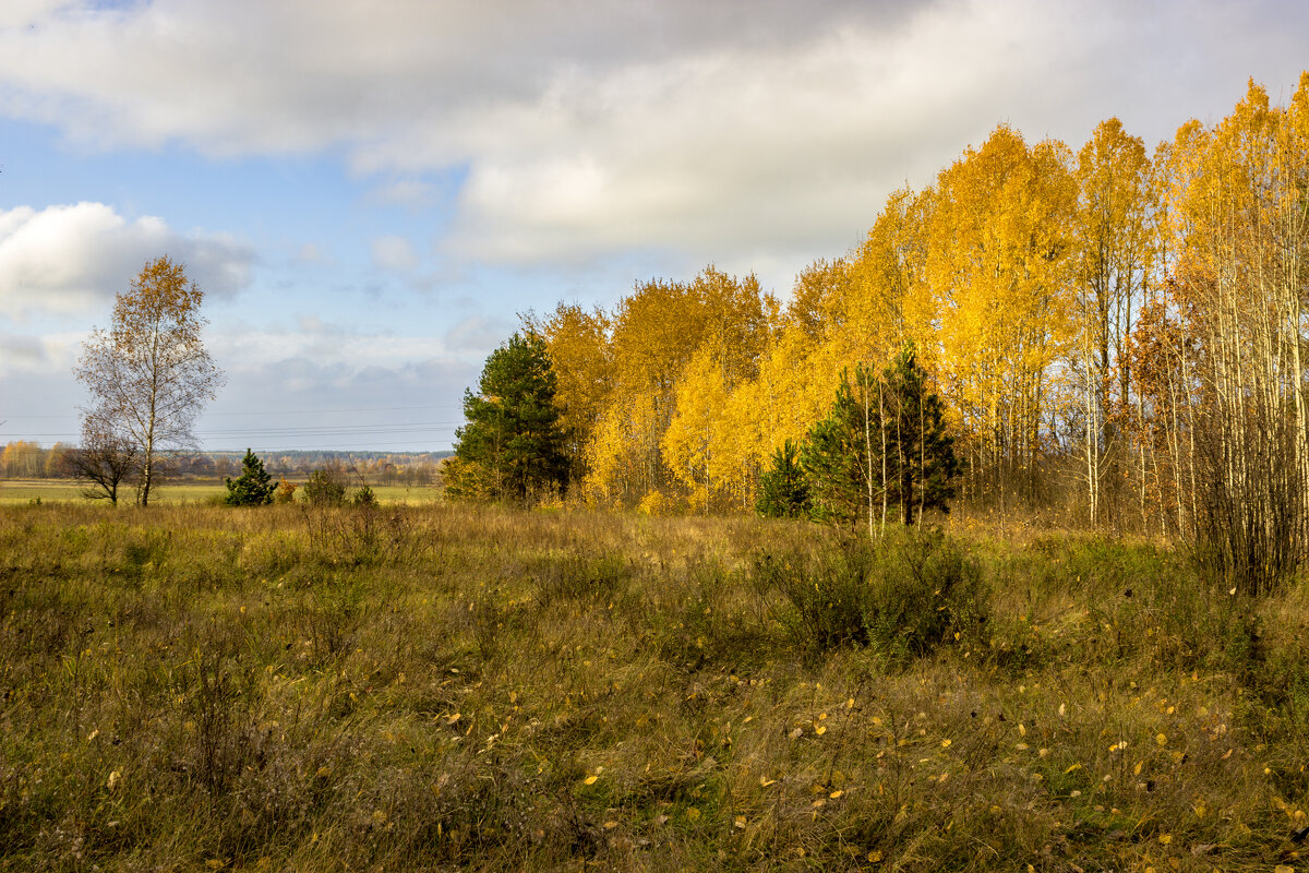 .. - оксана .. - оксана