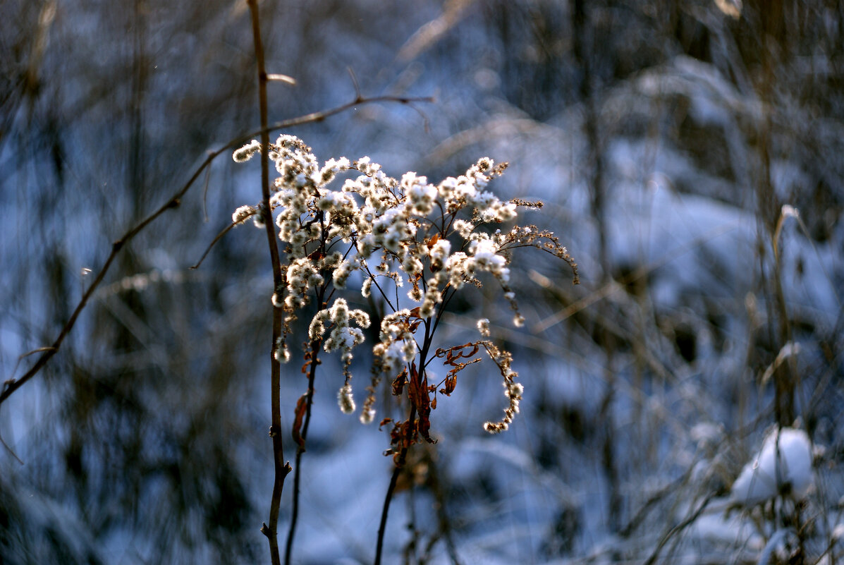 зима - Денис Геранькин