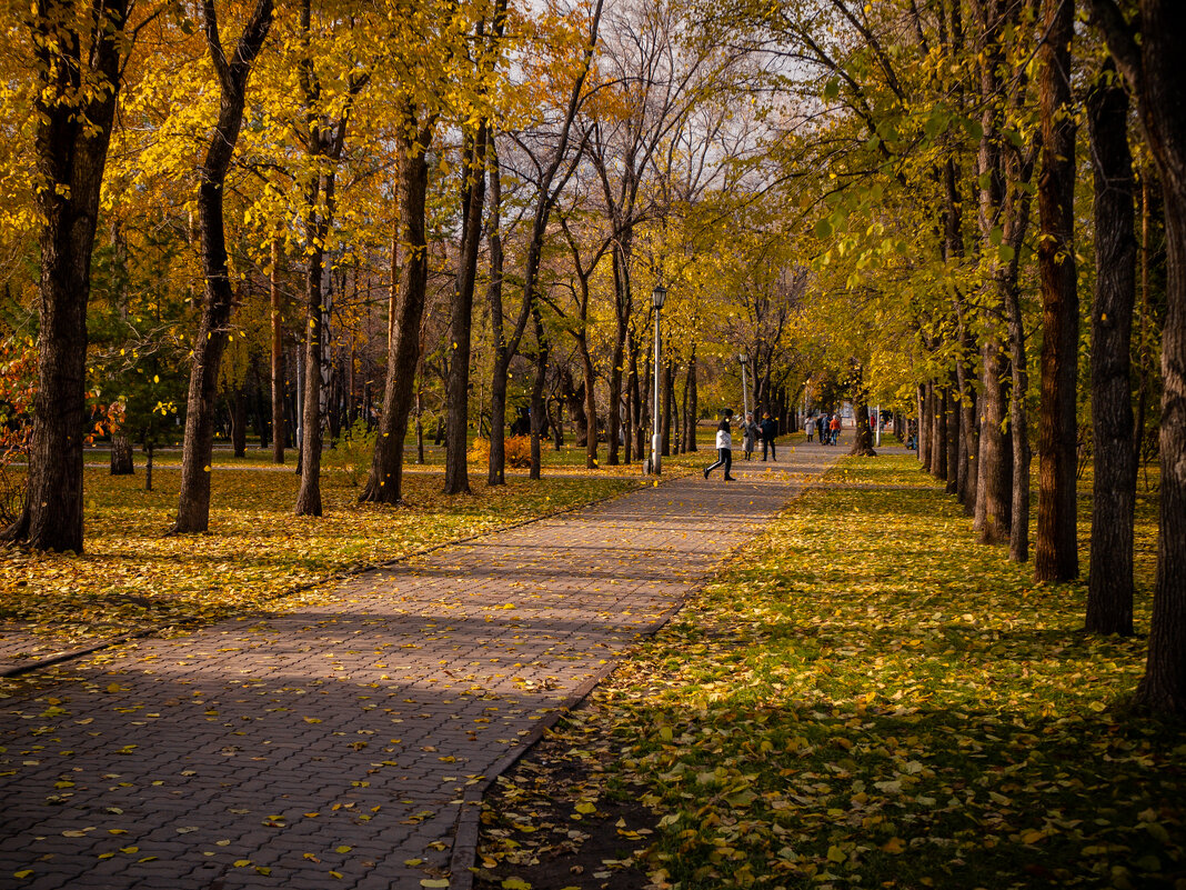 Осенний парк - Елена Берсенёва Осенний парк - Елена Берсенёва