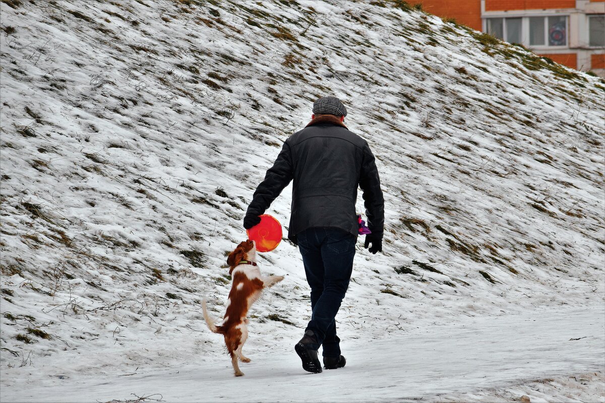 Настойчивый.. - Татьяна Помогалова Настойчивый.. - Татьяна Помогалова