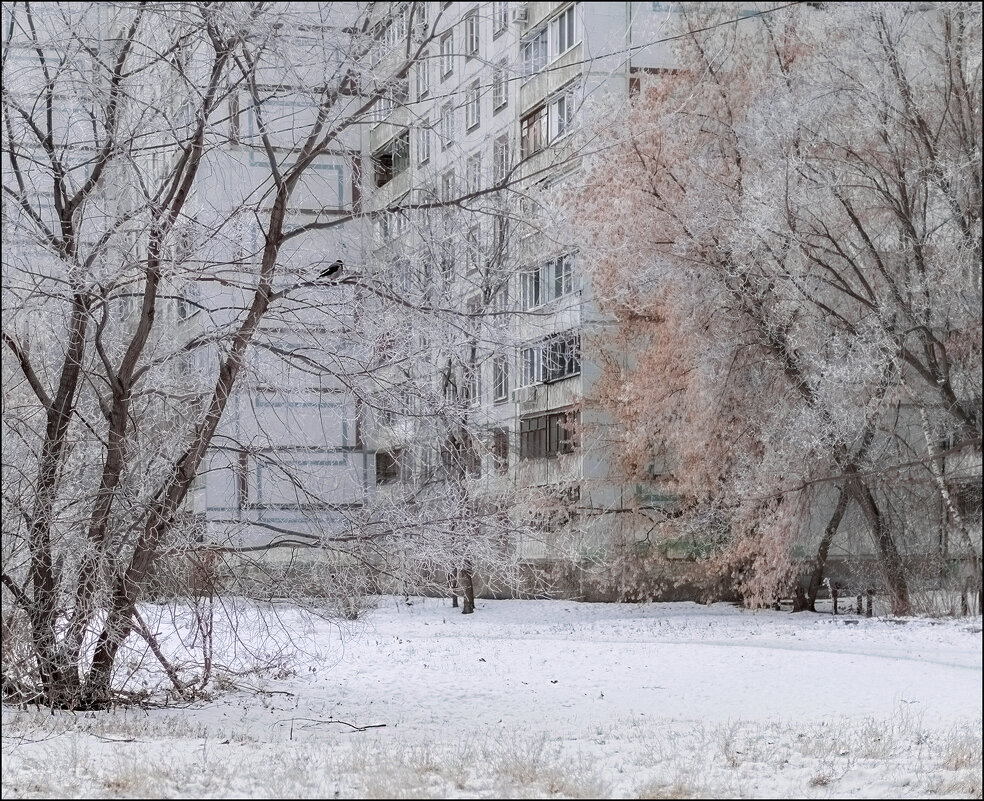 Ворона - Александр Тарноградский