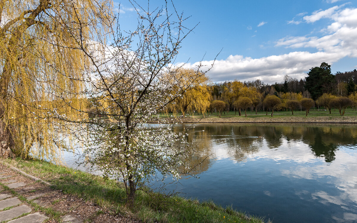 .... - василий 