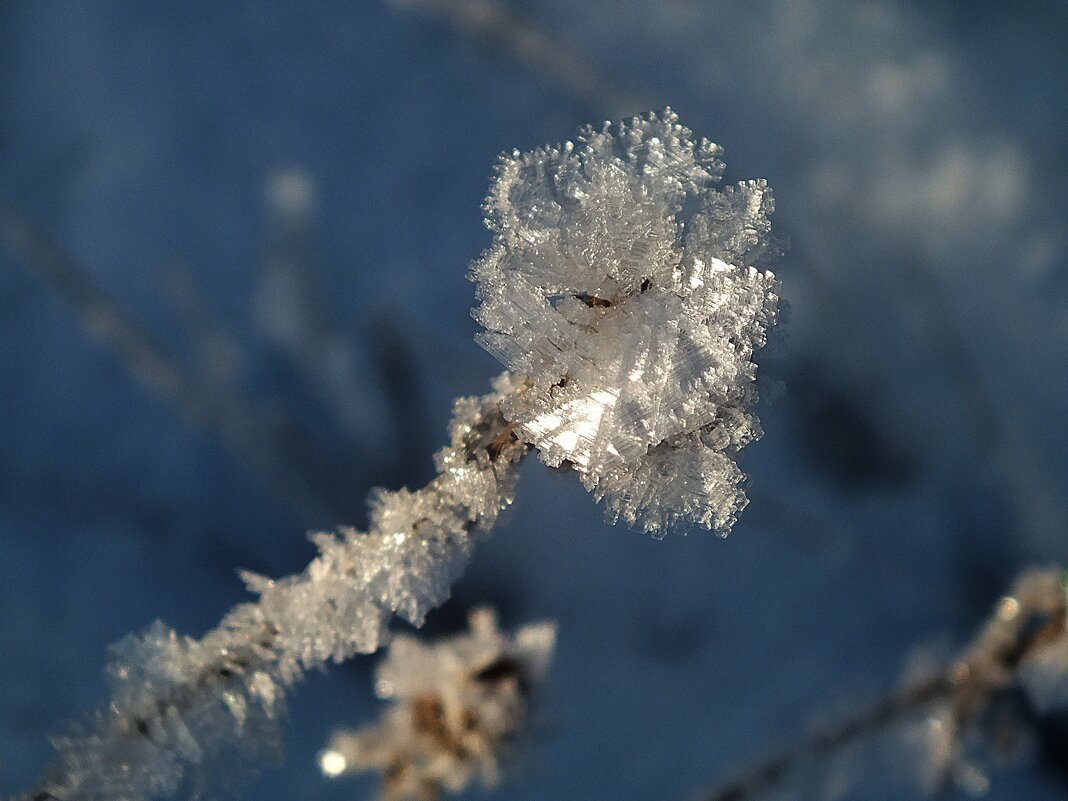 ****** - Зоя Мишина ****** - Зоя Мишина