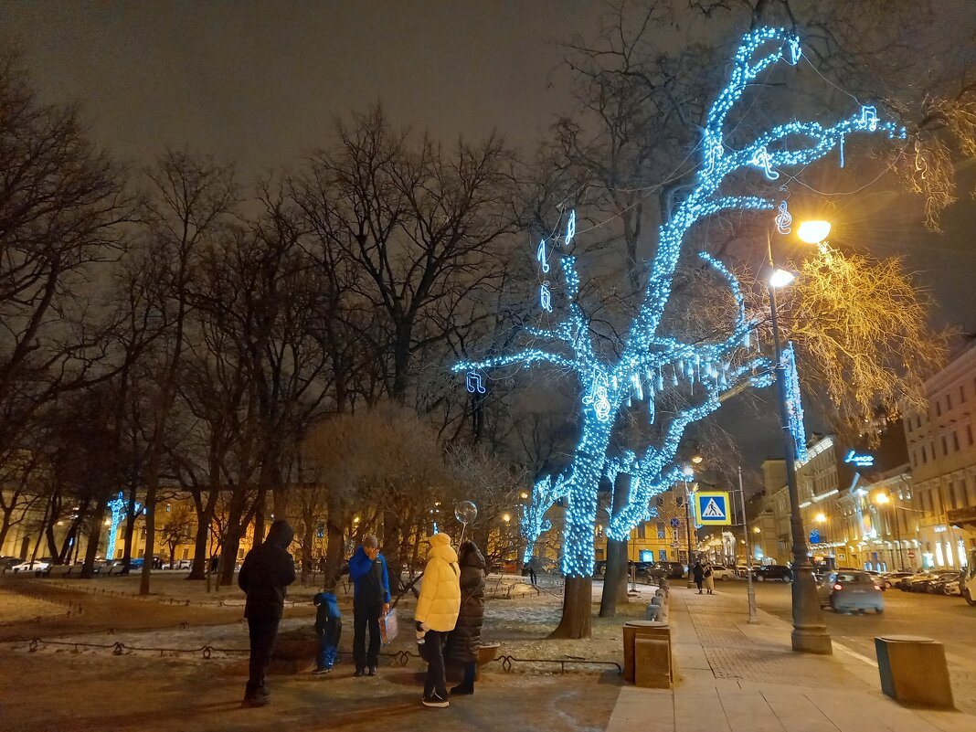 Гирлянды на деревьях - Сапсан 