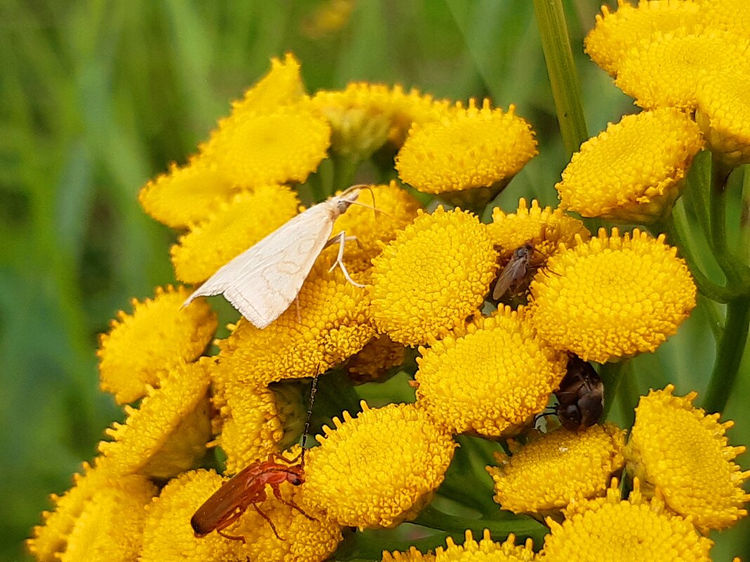Привет из лета - Екатерина К. Привет из лета - Екатерина К.