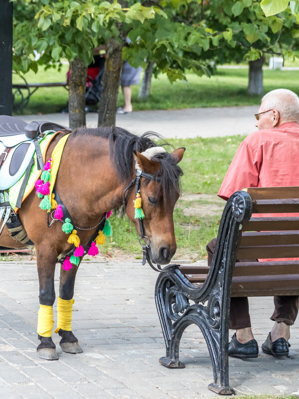 Оба устали - Игорь Викторов