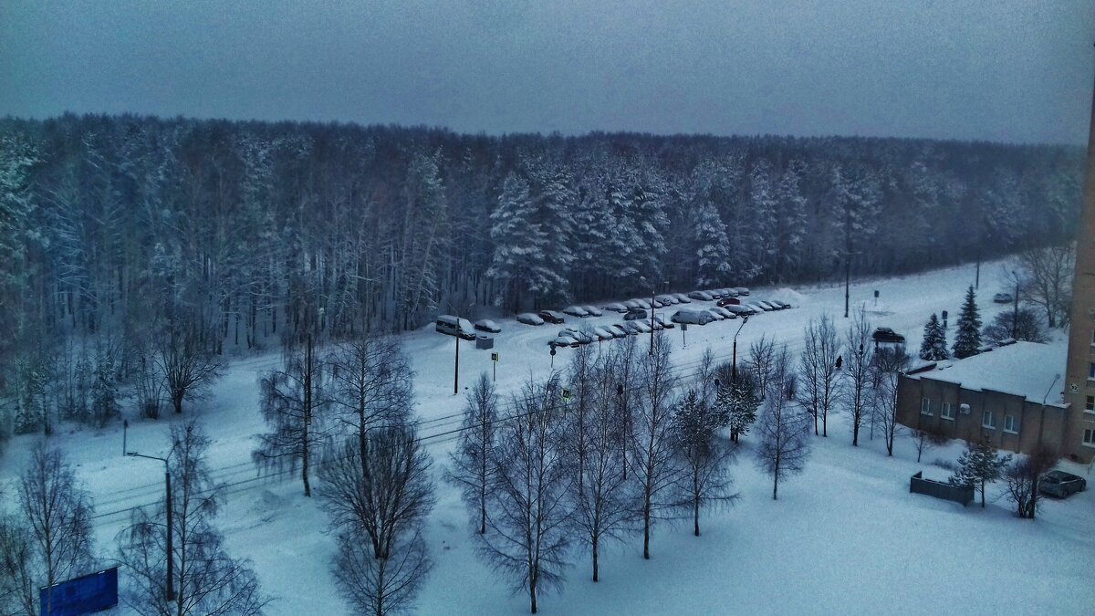 городская среда - Владимир городская среда - Владимир