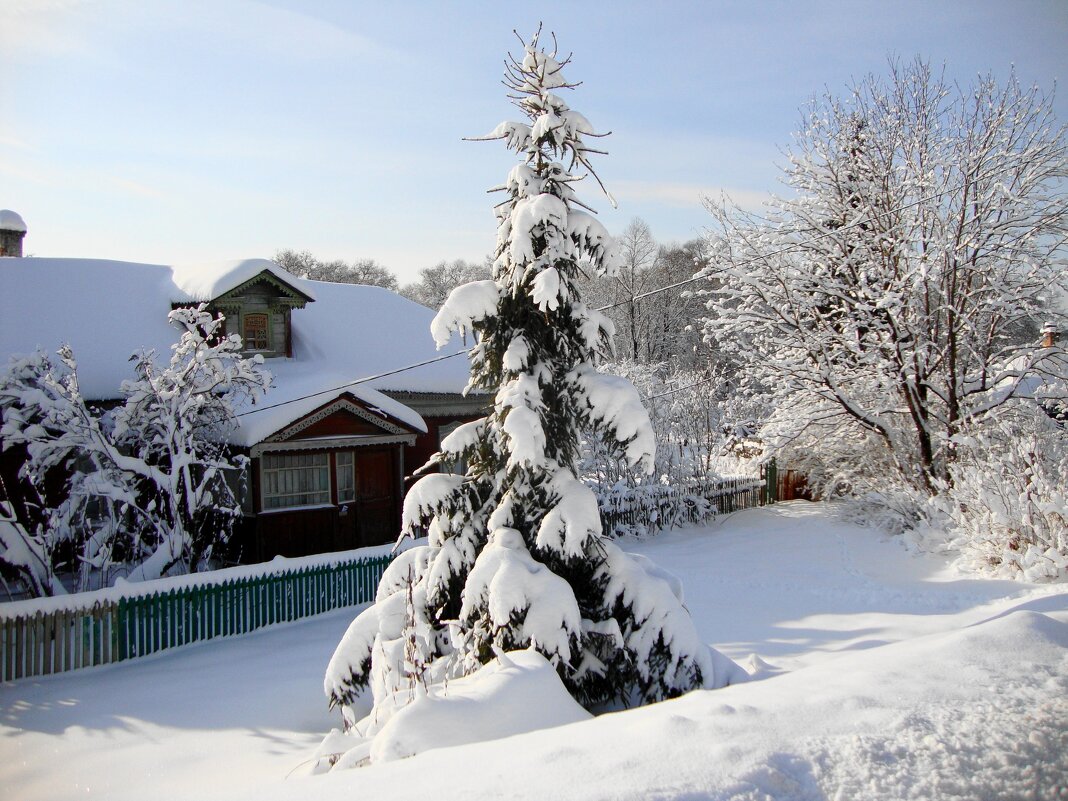 С праздником Богоявления! С крещенскими морозами! - Галина Флора С праздником Богоявления! С крещенскими морозами! - Галина Флора
