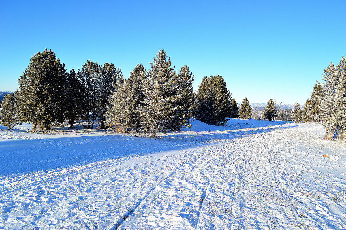 Высотными дорогами - Татьяна Лютаева