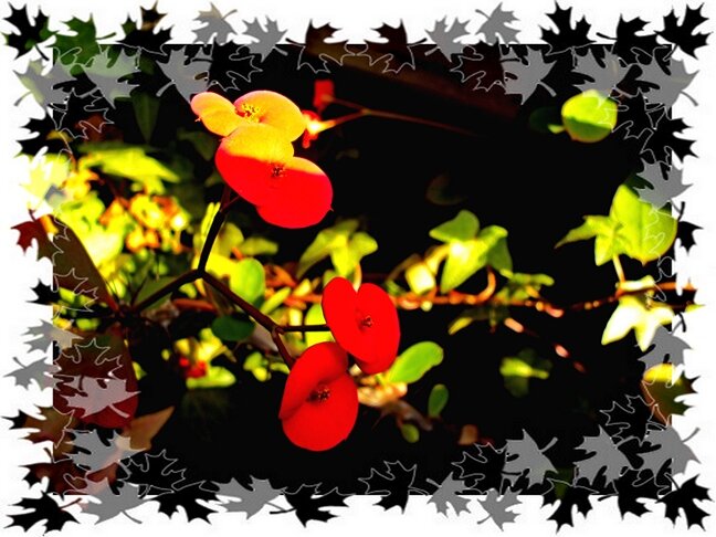 С январскими Праздниками всех моих друзей! Дай БОГ вам - счастья - здоровья!)) - Евгений С январскими Праздниками всех моих друзей! Дай БОГ вам - счастья - здоровья!)) - Евгений