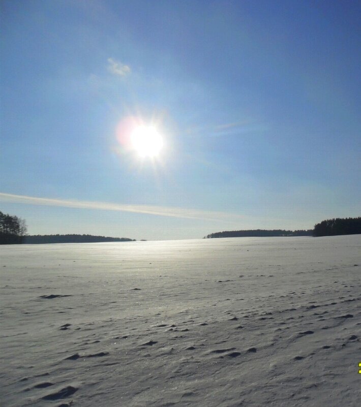 Зимние луга - Виктор  /  Victor Соболенко  /  Sobolenko