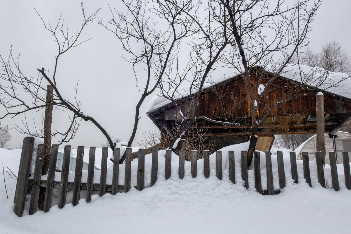 *** - Валерий Михмель 