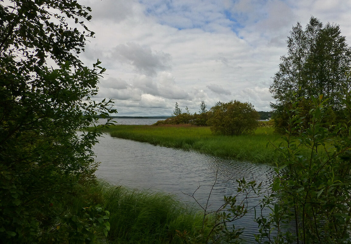 *** - Ольга Саранцева *** - Ольга Саранцева