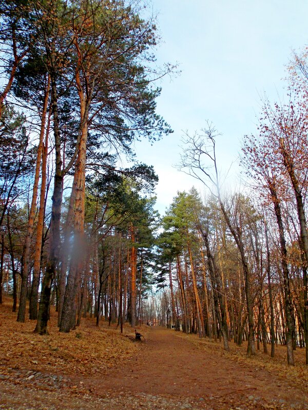 Из  парка!)) - Евгений 