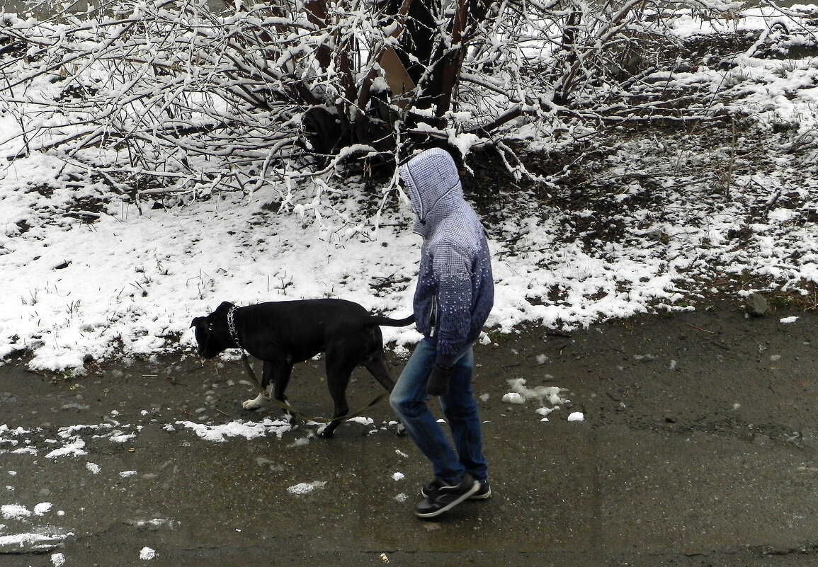 На прогулке! - Елизавета Успенская На прогулке! - Елизавета Успенская