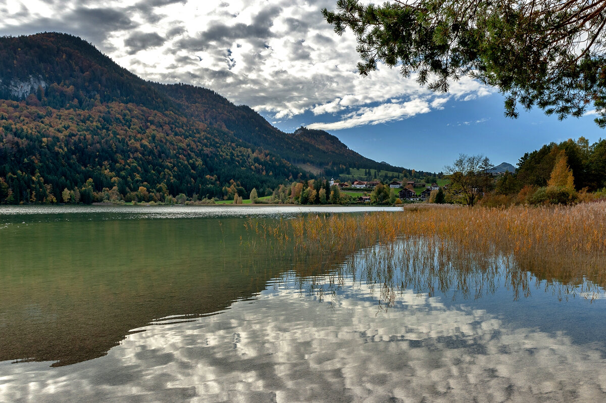 *** - Bo Nik *** - Bo Nik